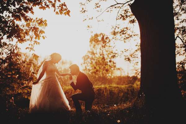 Sesja ślubna park Arkadia